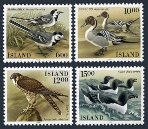 Iceland 618-621, MNH. Mi 644-647. Birds 1986. Matacilla alba, Anas acuta,Falcon,