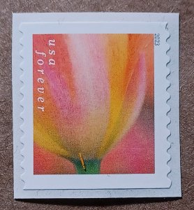 United States #5769 (63c) Tulip Blossoms coil MNH (2023)