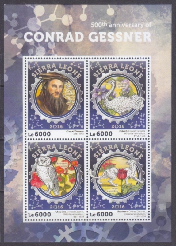 2016 Sierra Leone 7178-7181KL Birds / 500 years of Conrad Gessner 11,00 €