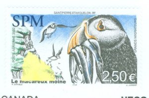 St. Pierre & Miquelon #C77 Mint (NH) Single