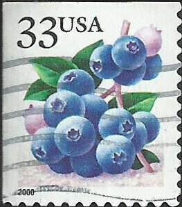 # 3294a USED BLUEBERRIES