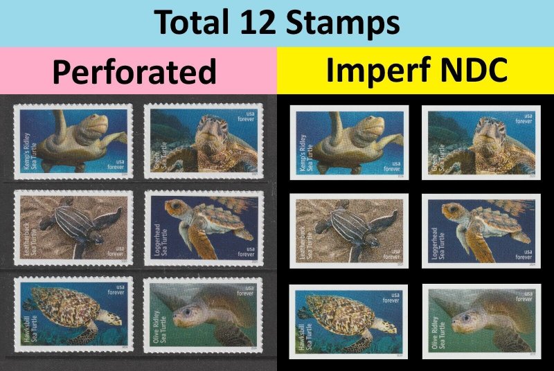 US 5865-5870 5865a-5870a Protect Sea Turtles F imperf NDC set 2x6 MNH 2024