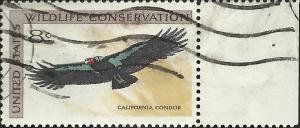 # 1430 USED CALIFORNIA CONDOR