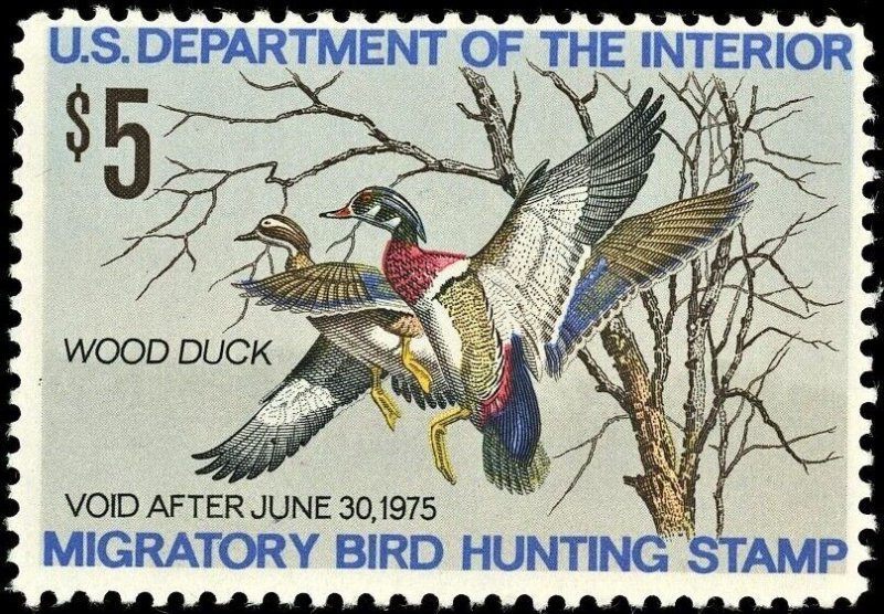 US #RW41 MNH OG Fine, 1974 Wood Ducks Duck Hunting Stamp