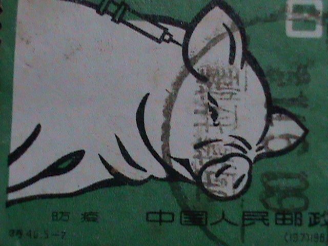 ​CHINA -STAMPS-1960-SC#519 PIG BEING INOCULATED USED STAMP: VERY RARE