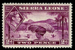 SIERRA LEONE SG191, 2d mauve, M MINT. Cat £50. 