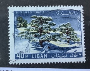 Lebanon 1965  Scott C438 used - 40p, Cedars of Friendship, cedres