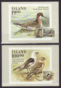 Iceland 686-687 Birds S/2 Maxi Cards U/A FDC