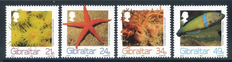 1993 Gibraltar Marine Life Set SG726/729 Unmounted Mint