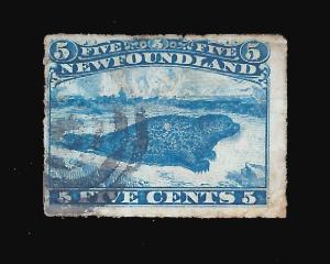 Newfoundland 1876 Sc 40 Harp Seal, rouletted