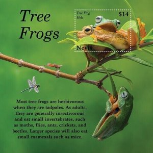 Nevis 2020 - Tree Frogs Amphibian - Souvenir Stamp Sheet - Scott #2011 - MNH