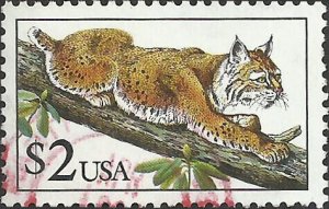 # 2482 USED BOBCAT    