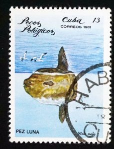 CUBA Sc# 2388  ARCHIPELAGO WILDLIFE marine fish   13c  1981 used cto