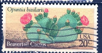 USA; 1981: Sc. # 1944:  Used Single Stamp