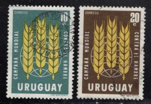 Uruguay Scott 700-701 Used 1964 FAO stamp set