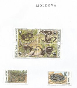MOLDOVA - 1992 - W W F., Snakes - Perf 6v Set - M L H