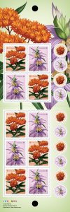 BUTTERFLY MILKWEED, SPOTTED BEEBALM wildflowers = Booklet of 10 MNH Canada 2024