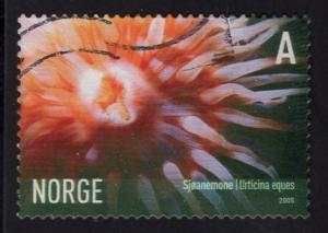 Norway  #1441  2005  used  marine life  (II)  sea anemone A