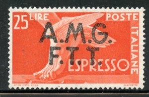 Italy, Triesti # E2, Mint Hinge. CV $ 95.00
