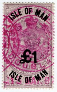(I.B) QV Revenue : Isle of Man £1 (1895)