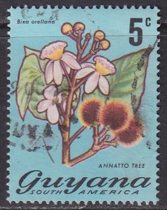 Guyana (1971) #136 used