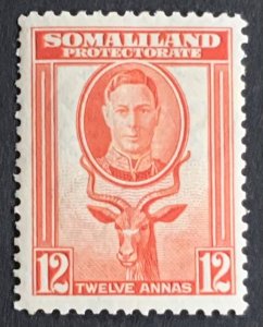 SOMALILAND PROTECTORATE 1942 DEFINITIVE 12 ANNA SG112  LIGHTLY MOUNTED MINT.