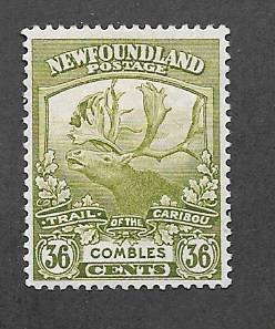 Newfoundland  Scott #126  Mint H Scott CV $37.50