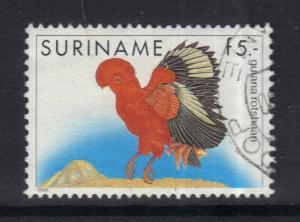 Surinam  #728  used  1985  birds  5g  rock