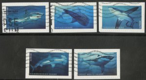US 5223-5227 (2017 Sharks)