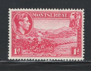 Montserrat 1942 King George VI & Sea Island Cotton 1p Scott # 93 MH