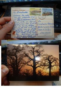 Gambia 10B+75B Boats on 1985 Tree PPC to Denmark, message (30bee)