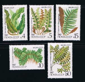 FERN PLANTS = full set of 5 = Russia 1987 Sc 5572-76 MNH