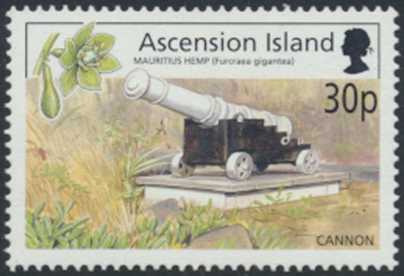 Ascension    SC# 806  MNH   Flowers and Scenes  see details & scans