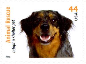 US 2010 Sc #4458 -australian Shepherd t - MNH**  single