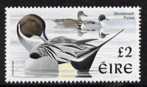 Ireland 1997-2000 Birds - Pintail £2 unmounted mint SG 1061