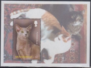 MONTSERRAT Sc # 1103 MNH SOUVENIR SHEET - CATS