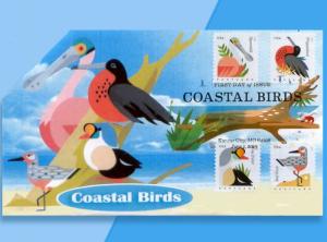 Four Coastal Birds See Themselves Graphically Simplified!  Cachetoons Pop-Up FDC