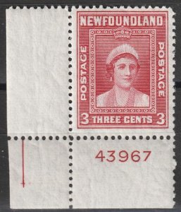 Newfoundland #255 MNH VF   (~1451)