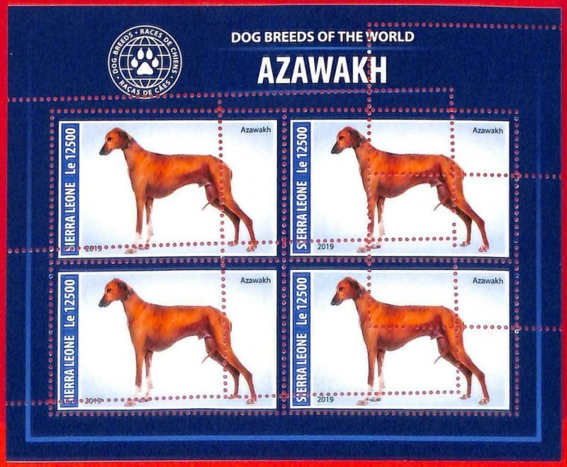 A4705 - SIERRA LEONE - ERROR MIPERF, mini sheet: 2019, Azawakh Dogs-