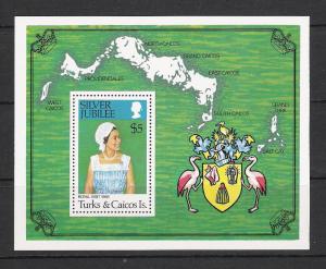 Turks & Caicos #324 Silver Jubilee Souvenir Sheet MNH