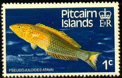 Fish, Pseudojuloides Atavai, Pitcairn Islands SC#231 MNH