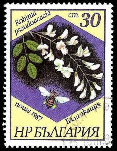 Used Box World Wide Scan 849