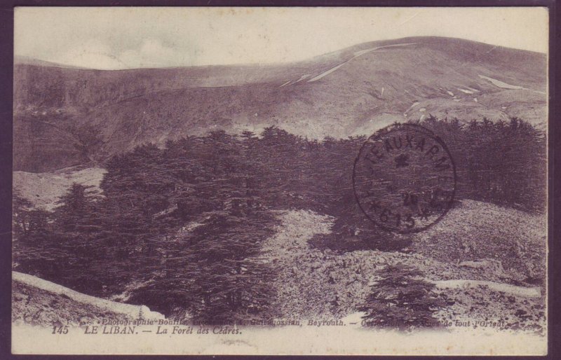 France Military Beyrouth Lebanon Liban Syria Syrie 1925 Postcard Unit 613