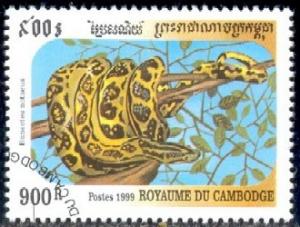 Snake, Yellow Anaconda, Cambodia stamp SC#1862 Used