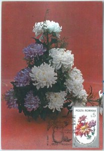 68882 - ROMANIA  -  MAXIMUM CARD  1984  - FLOWERS