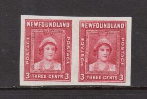 Newfoundland #246a XF/NH Imperforate Pair