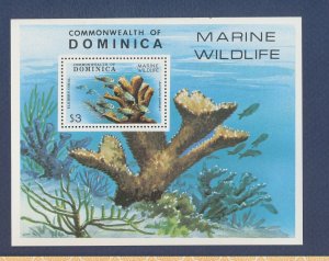 DOMINICA - Scott 624 -  MNH S/S - Coral, Fish, marine life - 1979