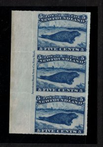 Newfoundland #40 Extra Fine Never Hinged Left Margin Plate Strip Of Three