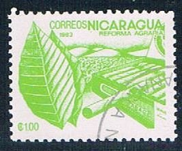 Nicaragua Green leaf (NP7R405)