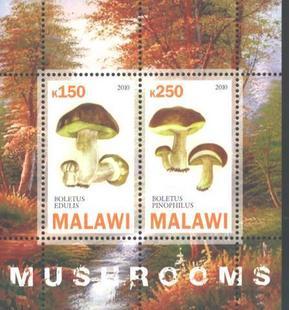 Malawi 2010 - Plant Mushroom Boletus Edulis Pinophilus Stamp